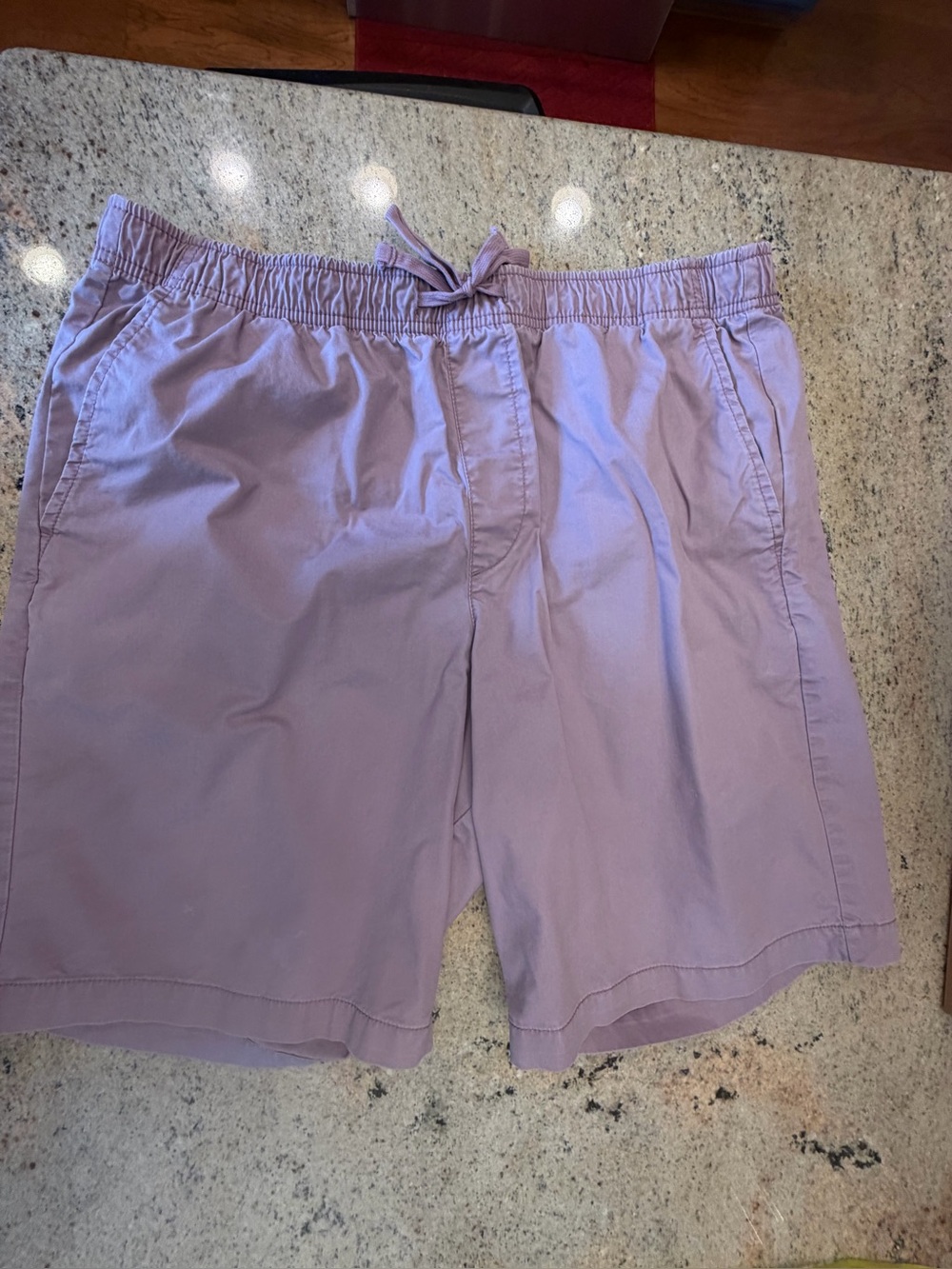 GAP men’s Lavender Elastic Waist 9” easy  Shorts w drawstring size Large